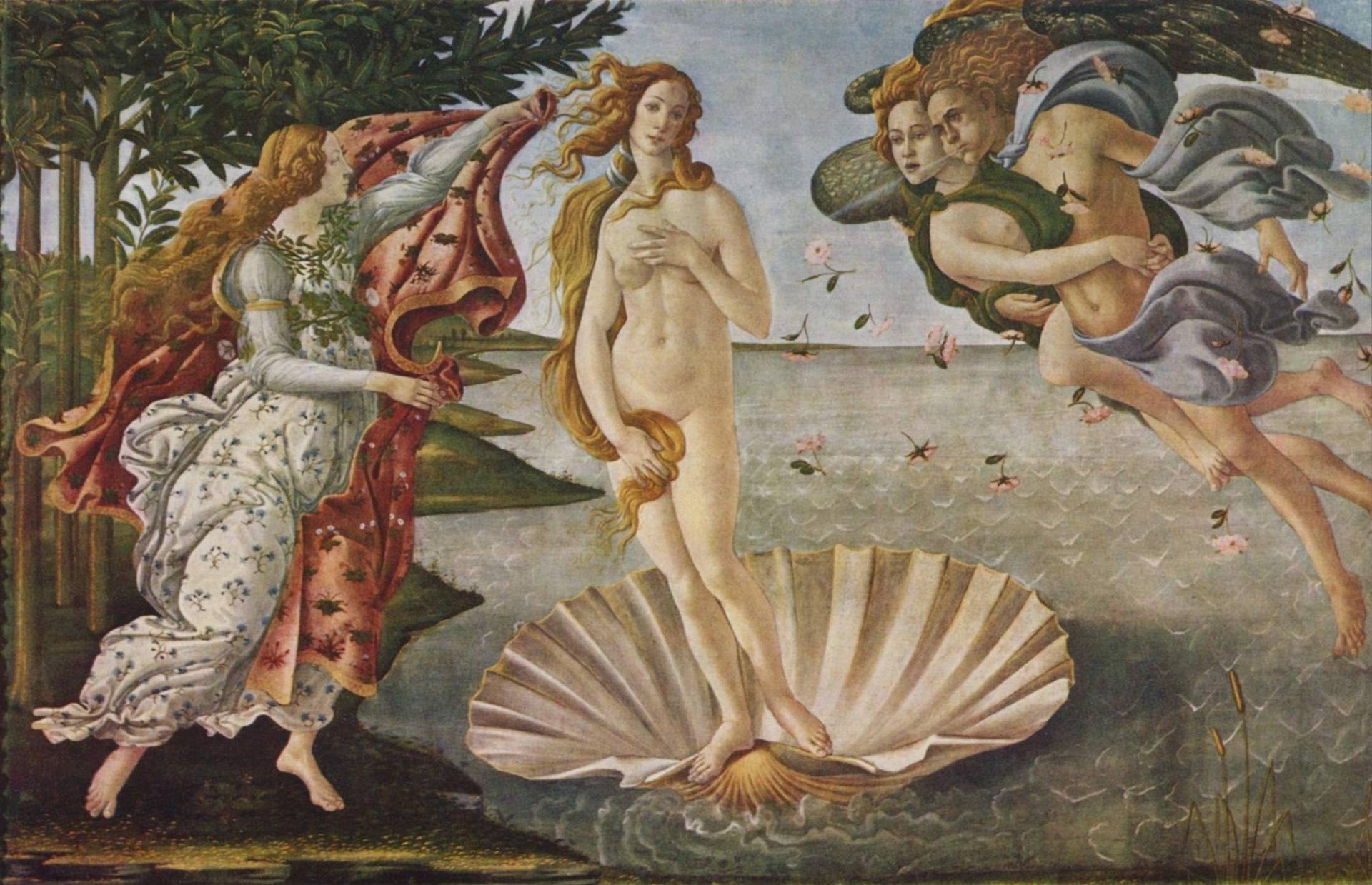 The Mirror